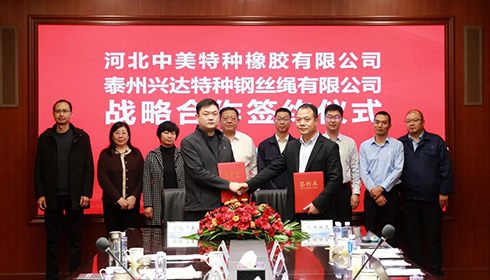 河北衡水市政企代表團蒞臨興達考察，興達&中美達成戰(zhàn)略合作！